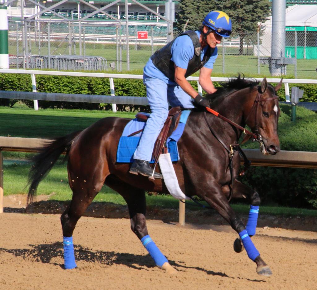 Exercising Bobby the Brain (Julie June Stewart photo)